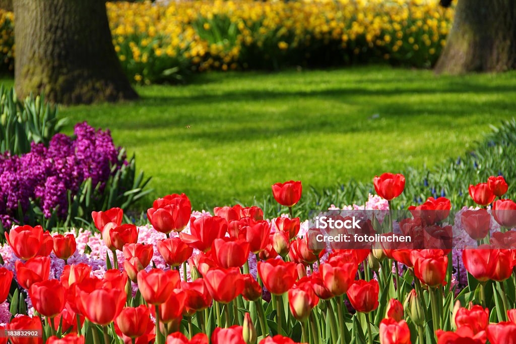 Garten im Frühling - Lizenzfrei Baum Stock-Foto