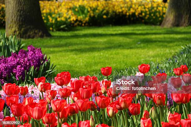 Garten Im Frühling Stockfoto und mehr Bilder von Baum - Baum, Blume, Blumenbeet