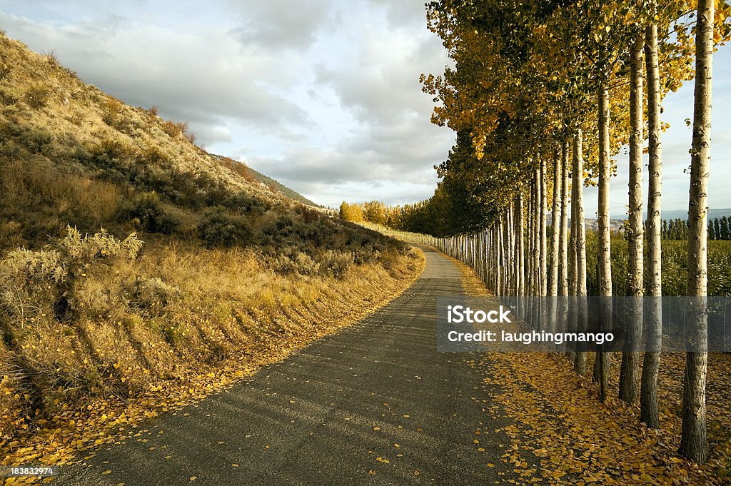 Сельская дорога Подъезд Оканаган Долина osoyoos - Стоковые фото Британская Колумбия роялти-фри