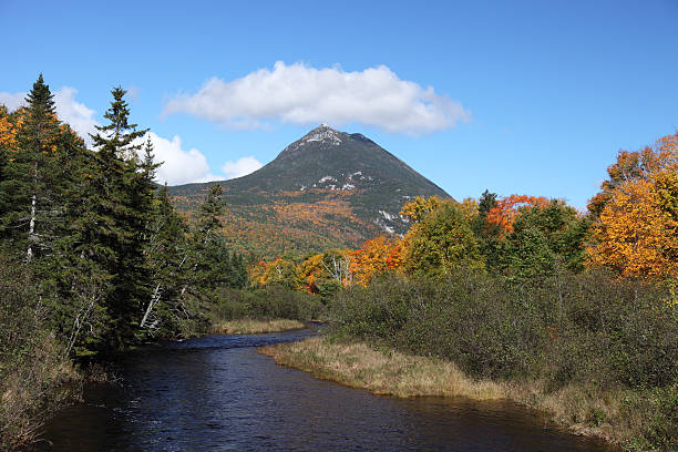 istock Autumn in Maine 183833225
