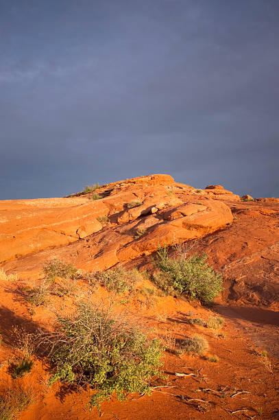 au coucher du soleil, désert du sud-ouest américain - sonoran desert desert badlands mesa photos et images de collection