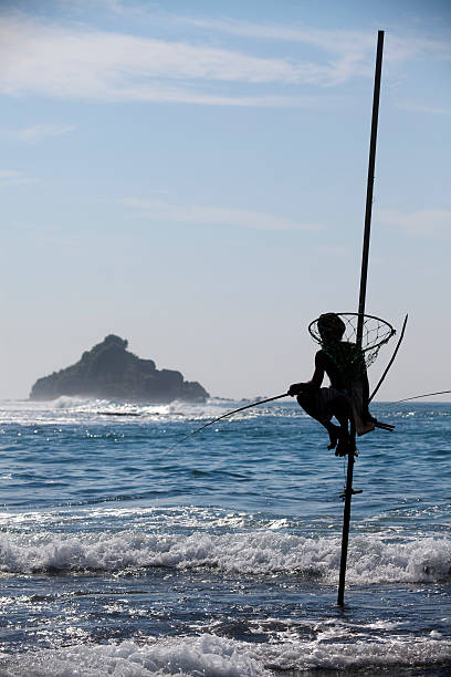 istock stilt fishing sri lanka 183833601