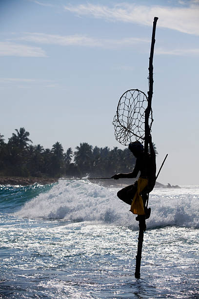 stilt fishing sri lanka