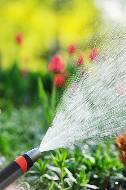 istock Sprinkler at work, flowers in backgrund 183833748