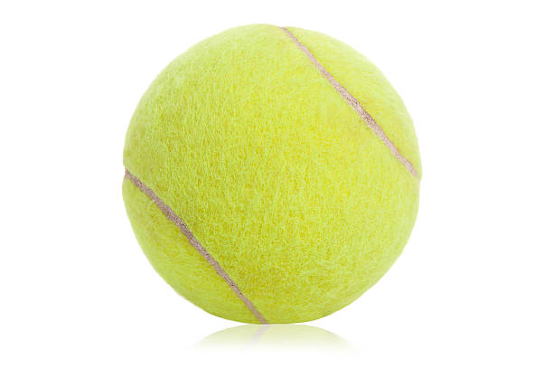 теннисный мяч - competition action animal close up стоковые фото и изображения