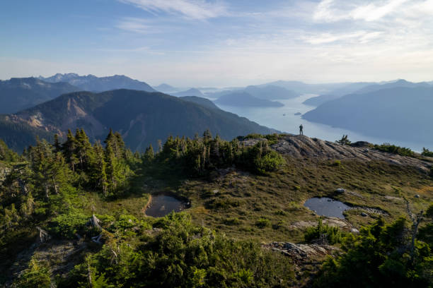 istock Aerial view of hiker on mountain ridge 1838343272