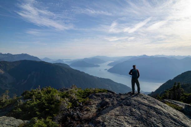 Aerial view of hiker on mountain ridge
