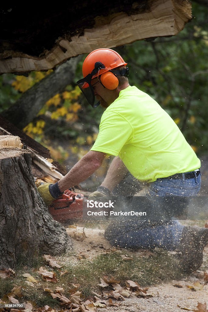 Desbastador de árvore ou Trabalhador de Construção - Foto de stock de 45-49 anos royalty-free