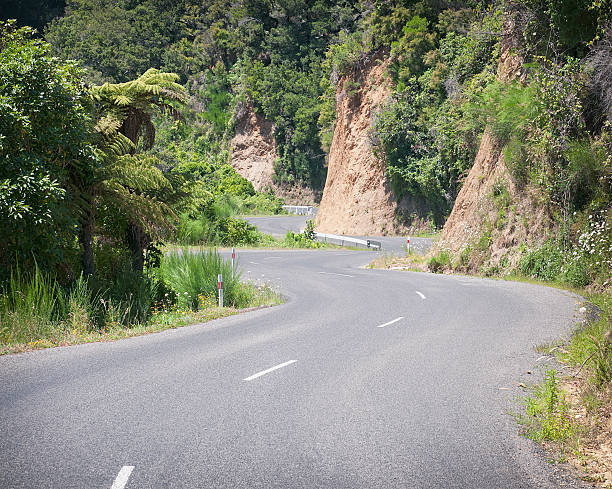 istock S Bends on a Country Road 183834728