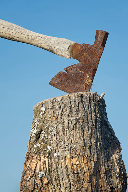 istock Ax Stuck into Stump, Chopping Block, Blue Sky Background 183834820