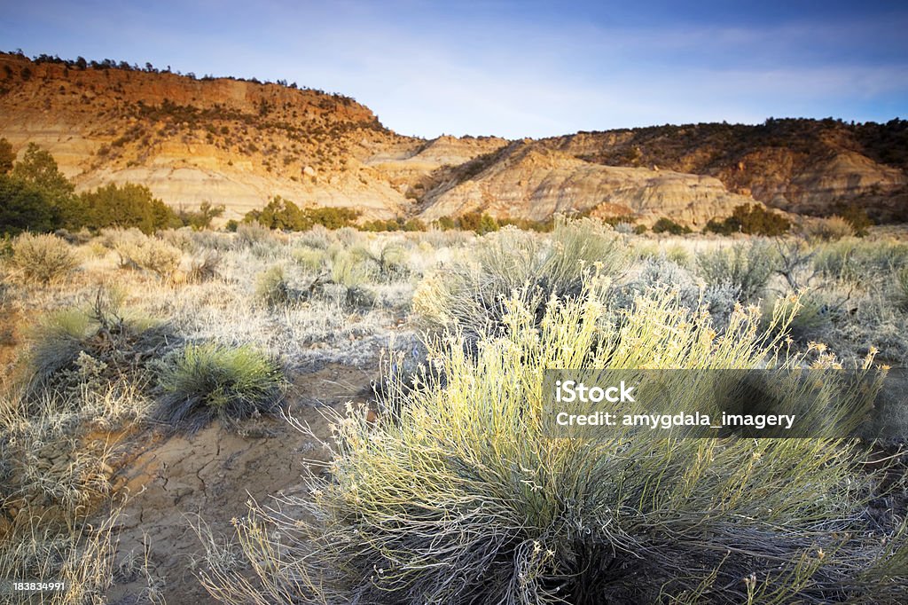Paesaggio del deserto tramonto - Foto stock royalty-free di Ambientazione esterna