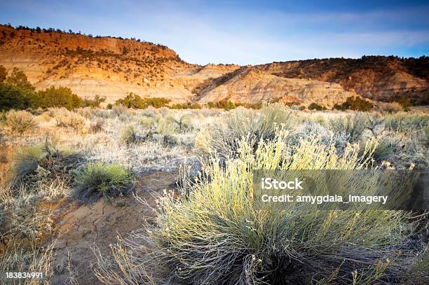 Paesaggio Del Deserto Tramonto - Fotografie stock e altre immagini di Ambientazione esterna - Ambientazione esterna, Ambientazione tranquilla, Artemisia tridentata