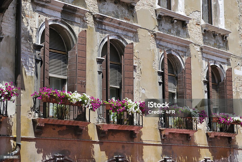 Wenecja-Kwiat Windows (XXXL - Zbiór zdjęć royalty-free (Architektura)