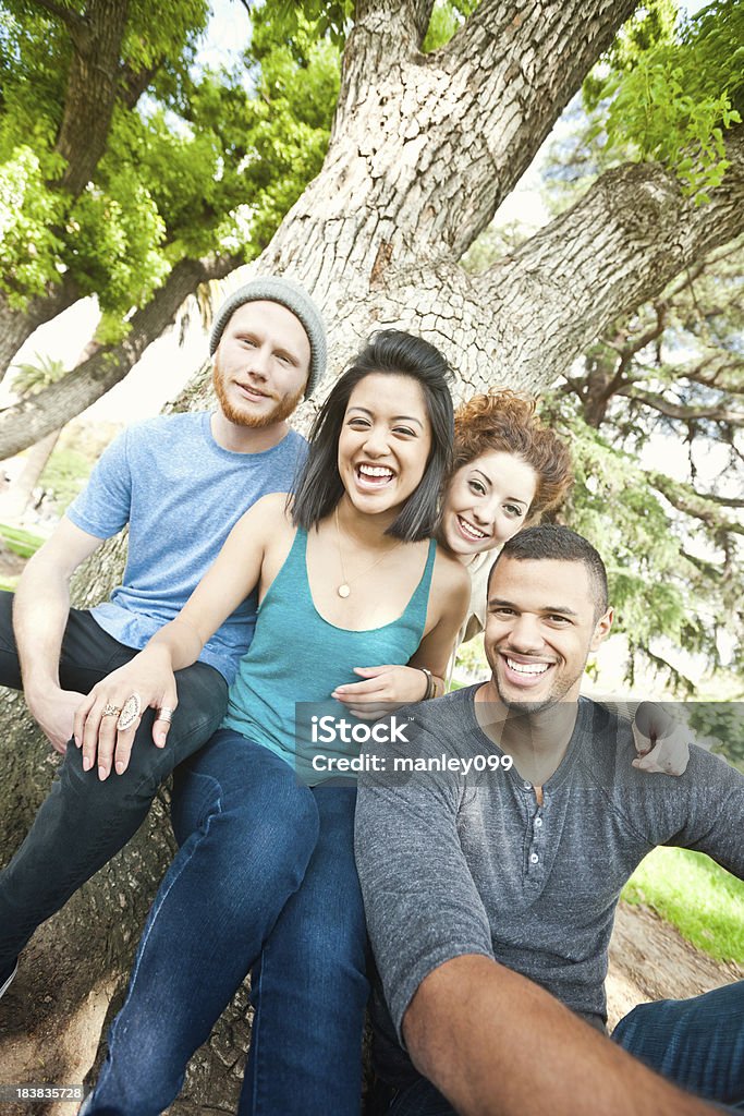 group of teens sitting on tree having a good time group of teens sitting on a tree just having a good time smiling Lifestyles Stock Photo