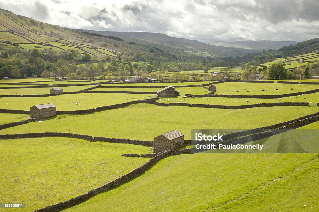 Storm viene Swaledale - Foto de stock de Agricultura libre de derechos