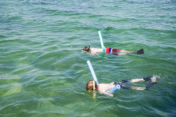 bambini snorkeling di key west, in florida - parker brothers foto e immagini stock