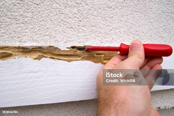Termite Problems Stock Photo - Download Image Now - Rotting, Wood - Material, House