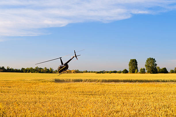 A helicopter take-off beside city from paddy field.
