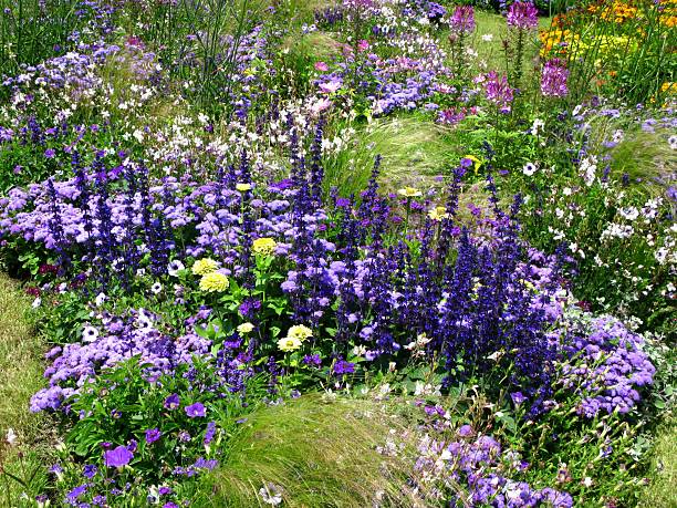 istock Summer flower garden 183837245
