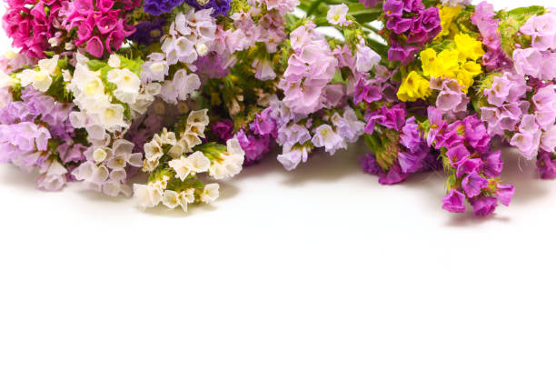 istock Bouquet of statice isolate on a white background. 1838372752