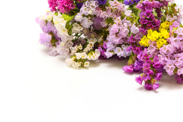 istock Bouquet of statice isolate on a white background. 1838373216