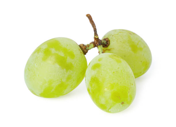 istock Delicious ripe green grapes isolated on white 1838376931