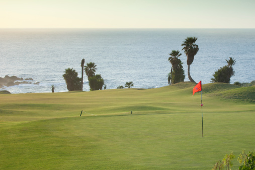 Golf green on a golf course.See more golf images: