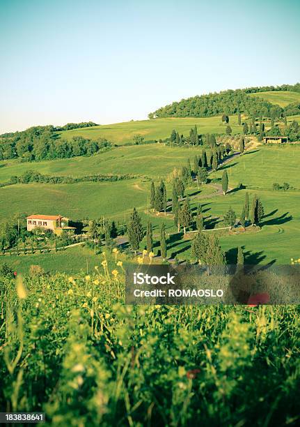 Cypress Foderato Strada In Monticchiello Val Dorcia Toscana Italia - Fotografie stock e altre immagini di Ambientazione esterna