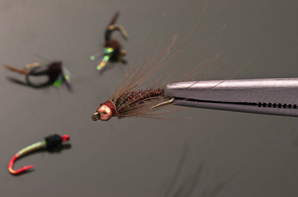 istock Fly-Fishing Flies 183838803