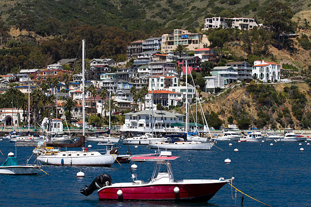 istock Catalina Island 183839387