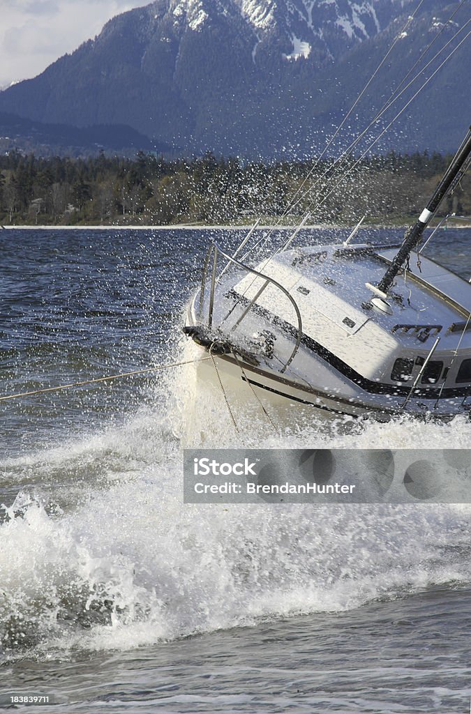 Bateau de bain - Photo de Arbre libre de droits