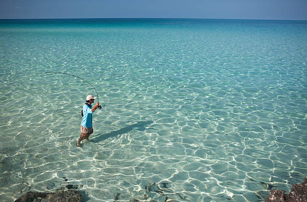 hombre pesca con mosca para bonefish en el caribe. - bonefish fotografías e imágenes de stock