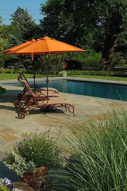 istock Swimming Pool and Garden Umbrella 183839998