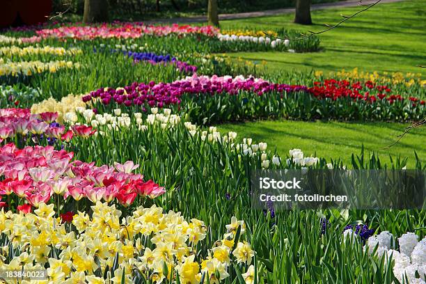 Garten Im Frühling Stockfoto und mehr Bilder von Baum - Baum, Blau, Blume