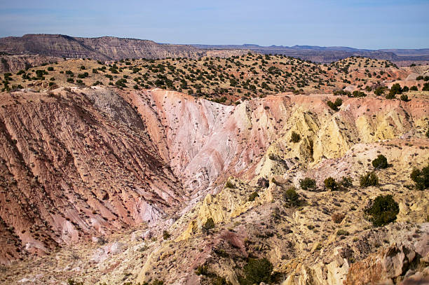 paysage désertique du sud-ouest - sonoran desert desert badlands mesa photos et images de collection