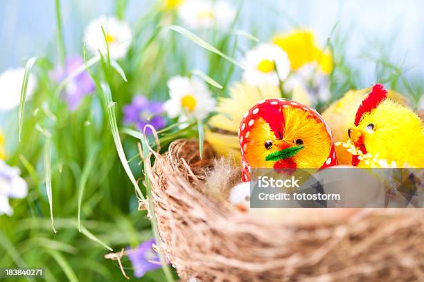 Decoração De Páscoa Na Grama Verde E Flores De Primavera - Fotografias de stock e mais imagens de Amarelo