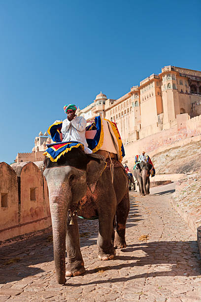 istock Elephant in Amber Fort, Jaipur, India 183841950