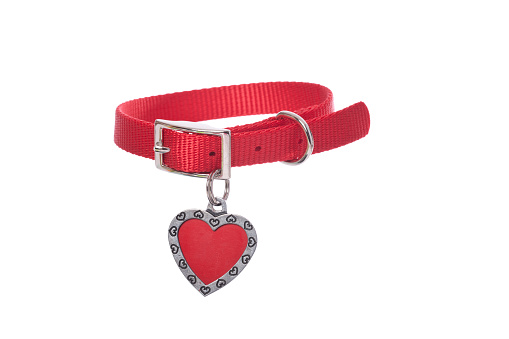 Red dog collar with heart shaped tag on white.PLEASE CLICK ON THE IMAGE BELOW TO SEE MY DOGGY LIGHTBOX PORTFOLIO: