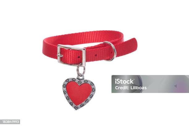 Dog Collar With Tag Stock Photo - Download Image Now - Pet Collar, White Background, Dog