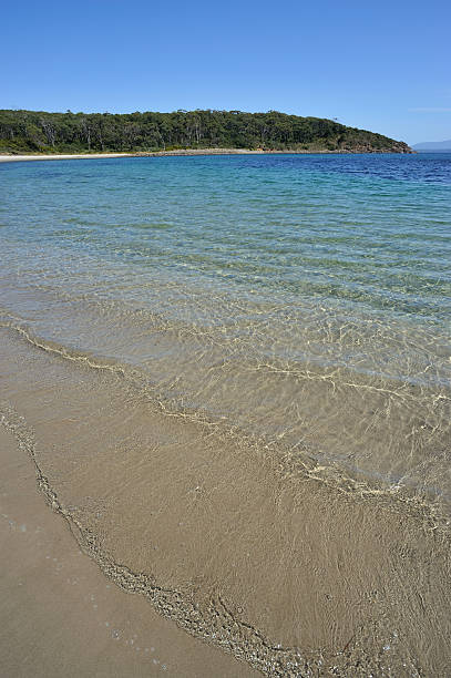 istock Lonely beach, Bruny Island, 183842559