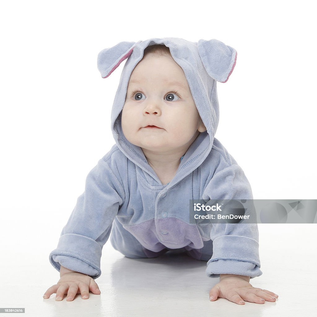 Bebê - Foto de stock de 12-17 meses royalty-free