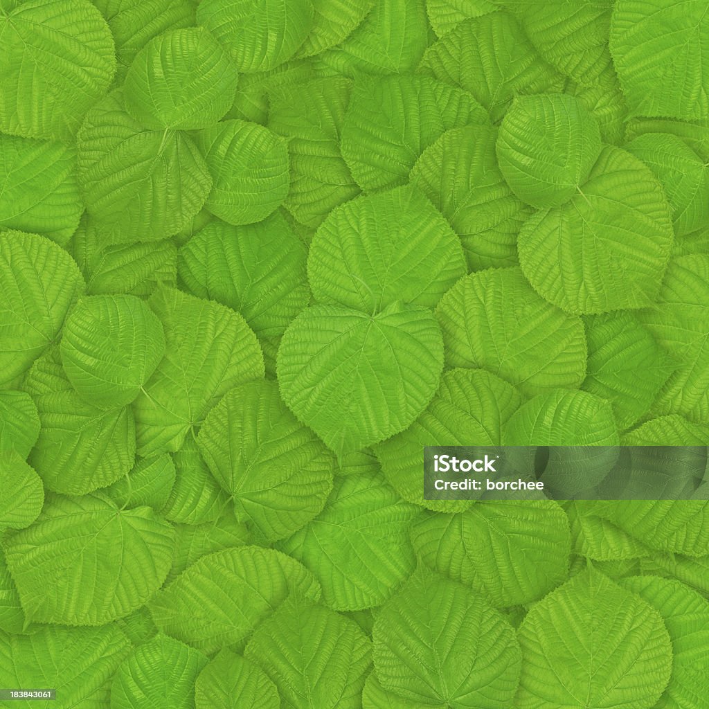 녹색 배경 - 로열티 프리 0명 스톡 사진