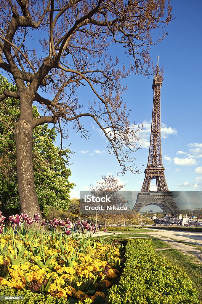 Paris w wiosnę - Zbiór zdjęć royalty-free (Architektura)