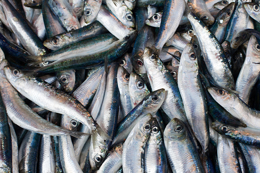 Central fish market with displays and counters with various seafood.in Athens, Greece. Retail place of healthy food.