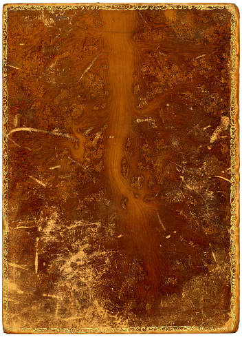 A damaged old leather book cover with lots of scuffs and marks on it and a worn gold border