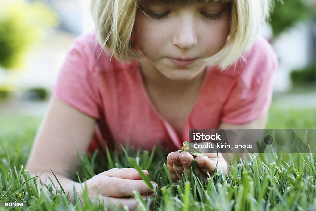 Girl with a frog girl with a frog Frog Stock Photo