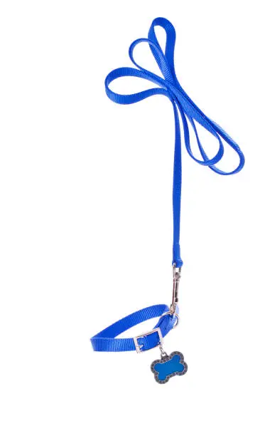 Classic Dog Leash and CollarPLEASE CLICK ON THE IMAGE BELOW TO SEE MY DOGGY LIGHTBOX PORTFOLIO: