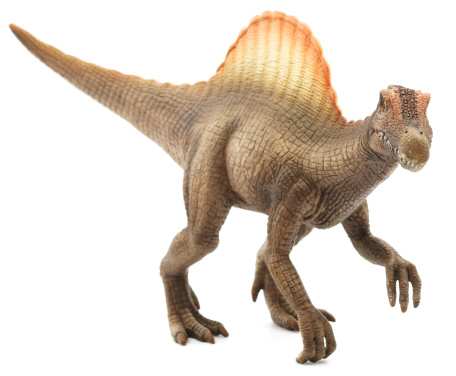 Computer generated 3D illustration with dinosaur Giganotosaurus and group of Argentinosaurus dinosaurs