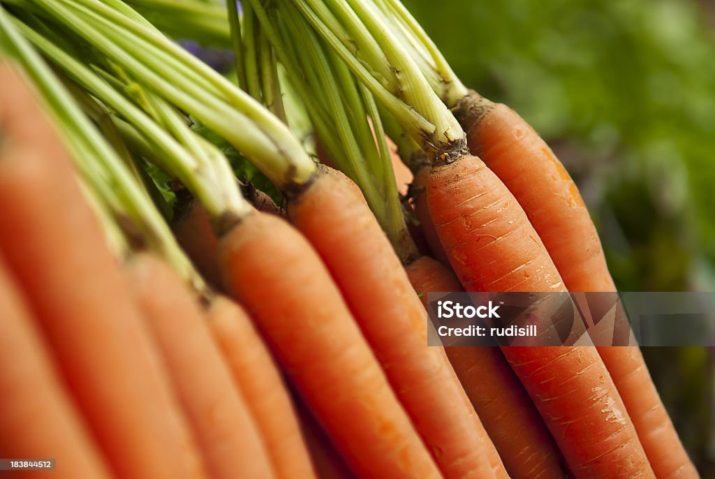 Zanahorias orgánicos - Foto de stock de Alimento libre de derechos
