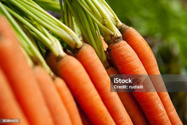 Zanahorias Orgánicos Foto de stock y más banco de imágenes de Alimento - Alimento, Color - Tipo de imagen, Color vibrante